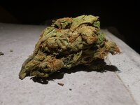 IMG_20250629_205147.jpg