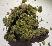 IMG_2510.jpeg