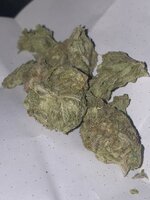 IMG_2405.jpeg
