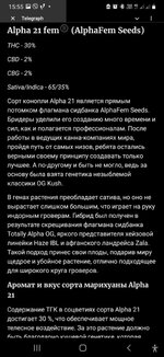 Messenger_creation_AA8C17D1-26AB-4FCD-A182-37ABA9672889.jpeg