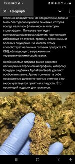 Messenger_creation_713727D9-A51D-475D-B069-266E77627EB9.jpeg