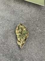 IMG_1629.jpeg
