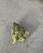 IMG_1630.jpeg