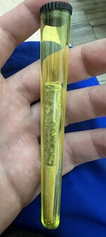 IMG_2052.jpeg