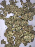 chocolope.jpg
