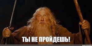 IMG_3149.jpeg
