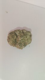 IMG_20250706_110443.jpg