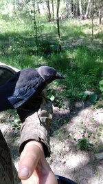 IMG-20250706-WA0005.jpeg