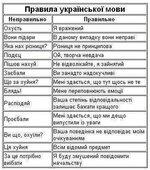 1000012677.jpg