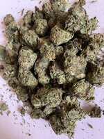 IMG_0370.jpeg