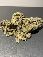 IMG_0386.jpeg