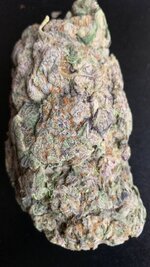 IMG_0382.jpeg