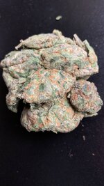 IMG_0381.jpeg