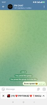 Screenshot_2025-07-06-18-57-34-578_org.telegram.messenger.jpg