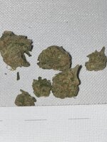 IMG_9671.jpeg