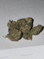 IMG_9670.jpeg