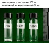 BCDCC947-CDC1-4B25-AE6B-327889AFA443.jpeg