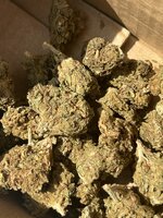 IMG_2826.jpeg