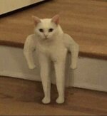 IMG_3261.jpeg