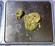 IMG_1798.jpeg