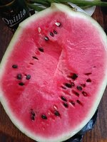 IMG_20250707_164359.jpg