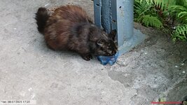 20250708_172011.jpg