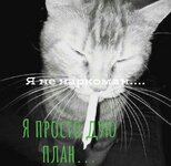 175ebe75-9441-42f8-bb40-b88a6eea0335.jpeg