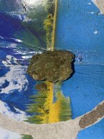 IMG_9722.jpeg
