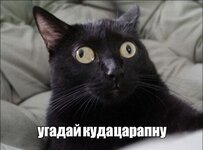 IMG_3419.jpeg