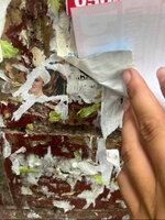 IMG_2416.jpeg IMG_2416.jpeg