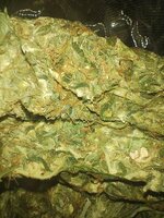 IMG_20250709_201759589.jpg