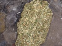 IMG_20250709_201737193.jpg