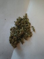IMG_20250703_204653057.jpg