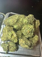 IMG_3613.jpeg