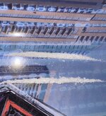 IMG_4698.jpeg