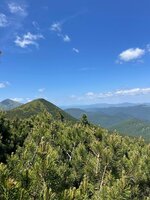 IMG_0683.jpeg