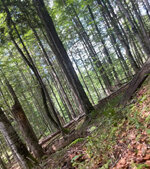 IMG_0681.jpeg