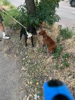 IMG_20250712_203846_202.jpg