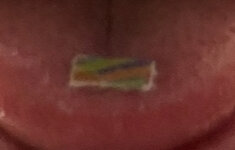 IMG_2501.jpeg IMG_2501.jpeg