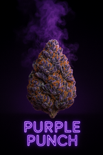 file_00000000f5c461f7b0662a86df346e9b.png