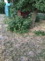 3E7D9086-D6E6-42A0-B2E8-E178D38D6B5D.jpeg
