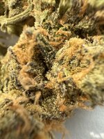 IMG_0481.jpeg