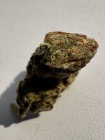 IMG_1306.jpeg