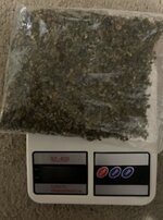 IMG_2110.jpeg