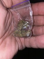 IMG_2651.jpeg