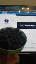 1000004432.jpg