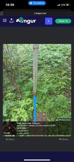 IMG_4831.jpeg