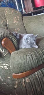 20250714_173252.jpg