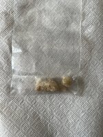 IMG_6440.jpeg