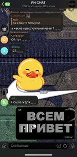 IMG_7783.jpeg